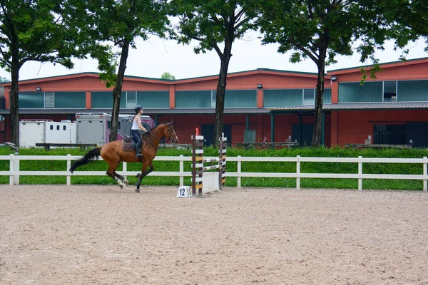 Show Jumping Posloupnost Provedení Seskoku Kleci Koňská Dynamika Pozice Jezdce — Stock fotografie