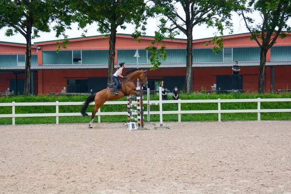 Show Jumping Sequência Execução Salto Gaiola Dinâmica Cavalo Posição Piloto — Fotografia de Stock