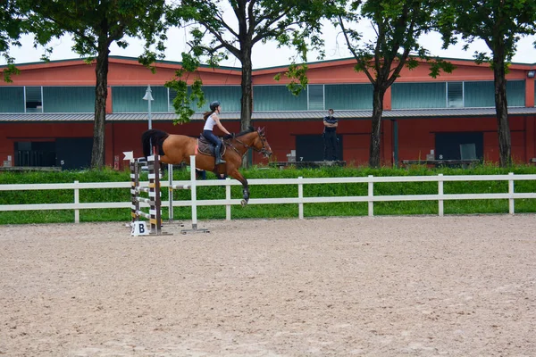 Show Jumping Sequência Execução Salto Gaiola Dinâmica Cavalo Posição Piloto — Fotografia de Stock