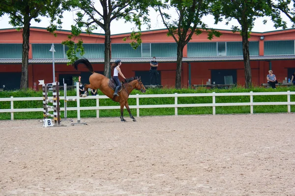 Springreiten Reihenfolge Des Käfigsprungs Pferdedynamik Und Reiterposition — Stockfoto