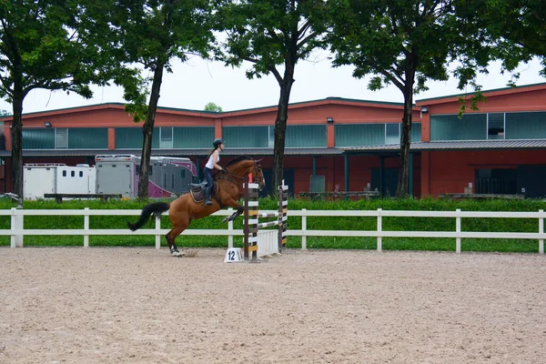 Show Jumping Kooi Springen Uitvoering Sequentie Paard Dynamiek Ruiter Positie — Stockfoto