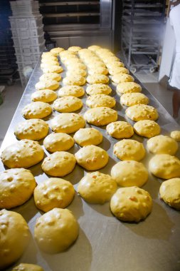 Paskalya için geleneksel İtalyan tatlısı: zanaatkar güvercin adım adım nasıl doğduğu, hamur, yemek pişirme ve dekorasyon