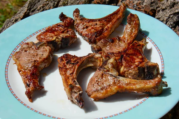 Italian Barbeque Grilled Lamb Chops — Stock Photo, Image