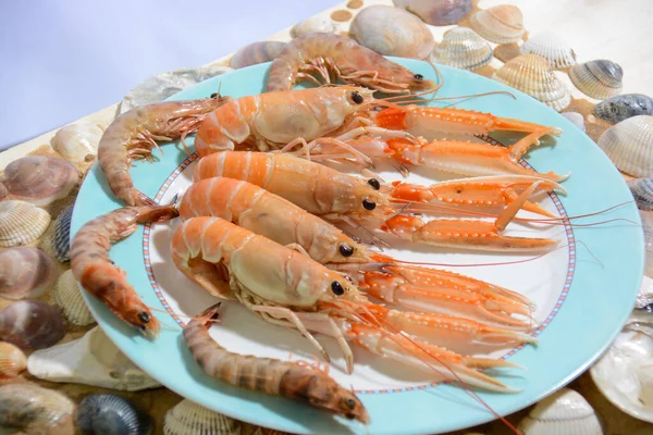 Mariscos Mediterráneos Para Una Preparación Especial —  Fotos de Stock