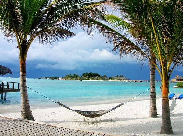 Sicilyalı pasta için her oburluk