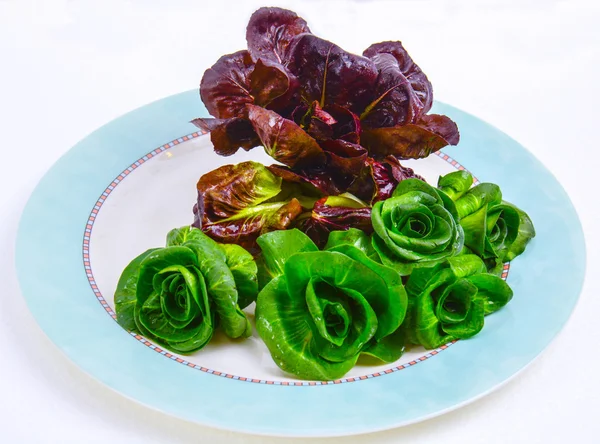 Italian freshly picked lettuce — Stock Photo, Image