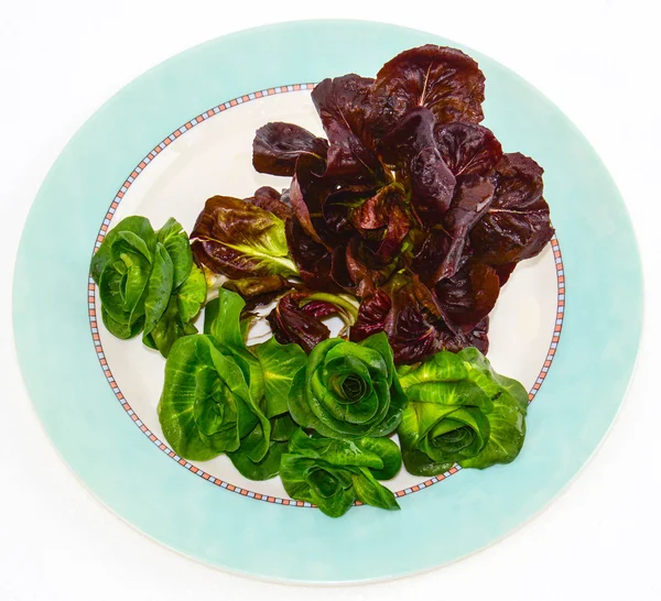 Lettuce red and green — Stock Photo, Image