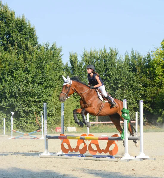 Cavalier de saut — Photo