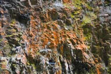 Arkaplan olarak kaya duvarı