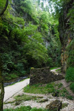 İtalyan Gizli Yerleri: Dolomitlerin ortasında tesadüfen keşfedilen nadir bir patika