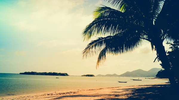 Conceito de verão - Coqueiro silhueta com pôr do sol em Samui ser — Fotografia de Stock