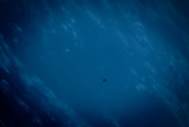 Mavi Mermer desen arka plan ya da doku olarak kullanışlı