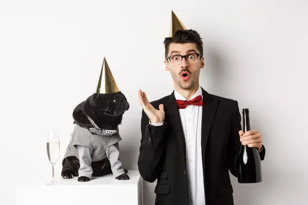 Pug preto engraçado em cone de festa olhando para o dono do cão surpreso, celebrando aniversário, bebendo champanhe e vestindo trajes, fundo branco — Fotografia de Stock