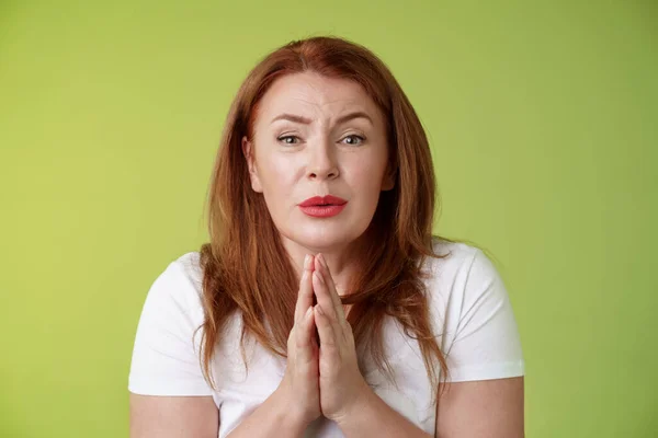 Please need help asap. Tender timid redhead middle-aged woman plead press palms together pray begging hopeful sincere look camera, implore friend favour stand green background silly