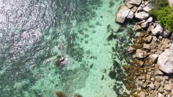 Bovenaanzicht vanuit de lucht van oceaan blauwe golven breken op een strand. Zeegolven en prachtig zandstrand uitzicht drone schot. Vogels kijken uit op oceaangolven die van boven tegen een leeg zandstrand botsen — Stockvideo