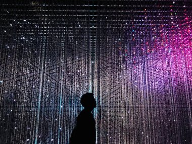 Singapur 'daki Sanat Bilimleri Müzesindeki Siluet Adam.