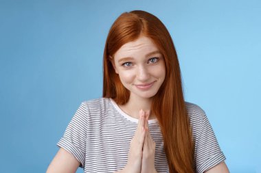 Cute girl acting kind angel gazing camera silly smiling asking please help press palms together pray glancing flirty begging favour standing blue background pleading sincere lend clothes clipart