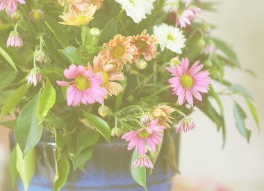 Karışık güzel çiçek parlak parlayan sarı Retro rengini busk