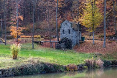 Sherborn parkında sonbahar. Ağaçlarda renkli yapraklar ve sıcak sonbahar havasında parlayan güneş. Voevodino, Turia Paseka, Transcarpathia, Ukrayna.
