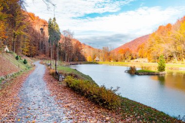 Sherborn parkında sonbahar. Ağaçlarda renkli yapraklar ve sıcak sonbahar havasında parlayan güneş. Voevodino, Turia Paseka, Transcarpathia, Ukrayna.
