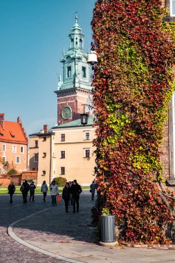 Polonya, Krakow 'daki Wawel Kalesi. Eski kale kuleleri ve Katolik tapınağı.. 