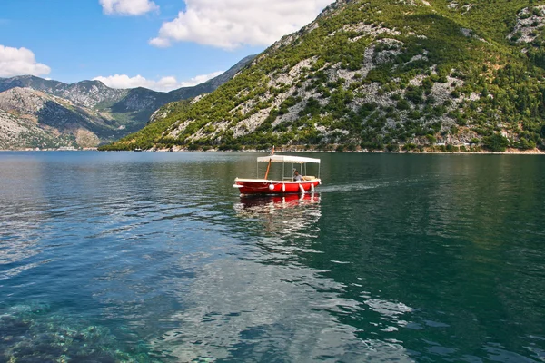 Montenegro, Kotor Bay, — Stockfoto