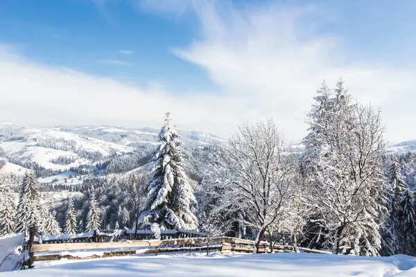 Cárpatos de invierno — Foto de Stock