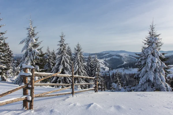 Cárpatos de invierno — Foto de Stock