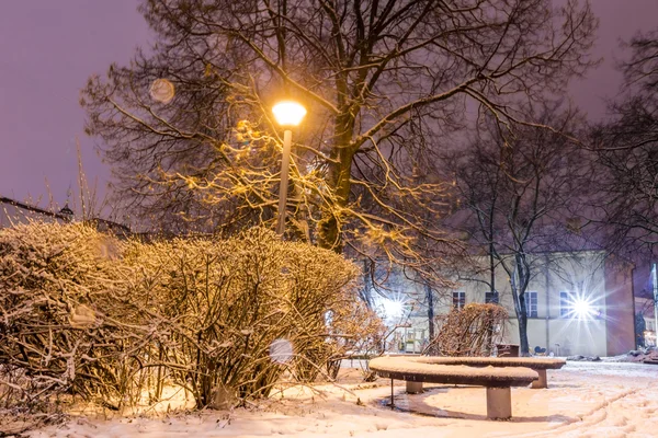 Tarde nevada de invierno en el parque —  Fotos de Stock
