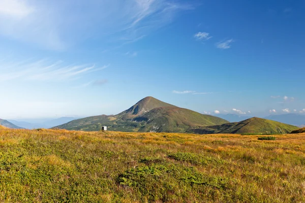 Dağlarda yaz manzara panoramik manzaralı, sarı ve yeşil çimen