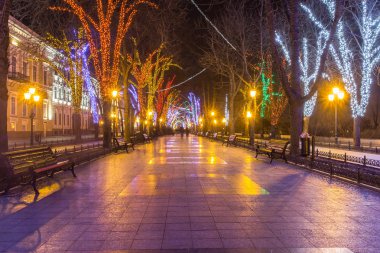 Lights and benches at night alley in Odessa, Ukraine