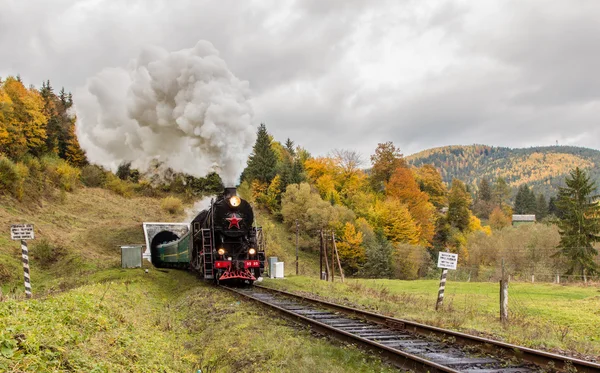 Retro buharlı tren dağlar yaklaşımlar