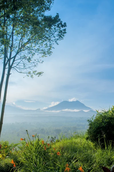 Kawah Ijen'de volkan, Endonezya — Stok fotoğraf