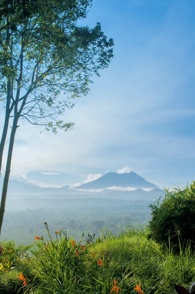 Kawah ijen vulkán, Indonézia — Stock Fotó