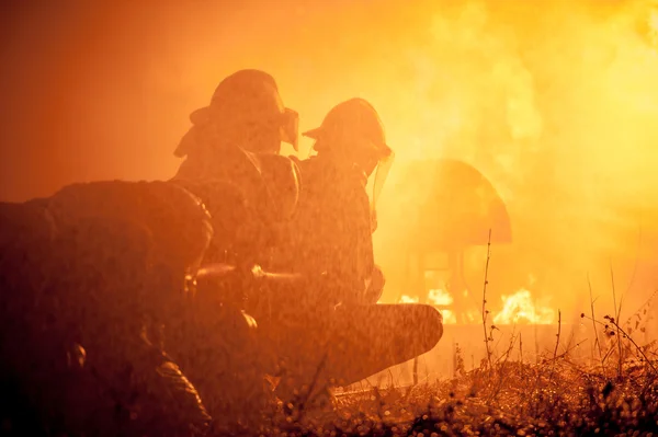 Formation des pompiers — Photo