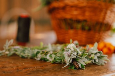 Dokulu kırsal yüzeyde doğal kurutulmuş bitkiler, yumuşak sepetli sakin botanik görüntüler.