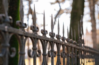 Closeup Iron Spikes With Blurred Trees, Rusted Spearheads, Shallow Depth, Cold Morning Light, Park
