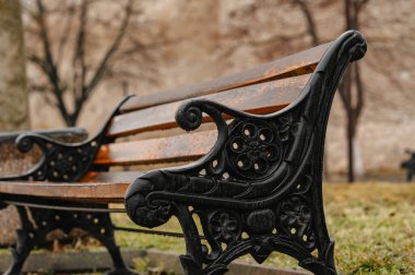 Dekoratif Bench Armrest Kapanış Demircilik, Karmaşık Kaydırma Şablonu, Yıpranmış Boya