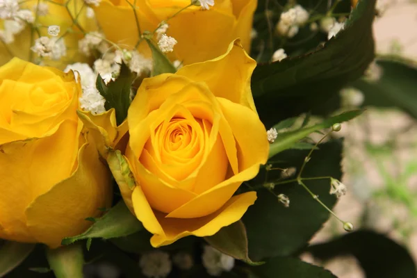 Bouquet de belles roses jaunes — Photo