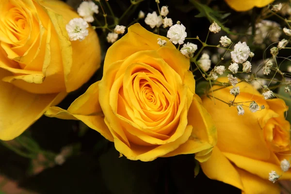 Bouquet de belles roses jaunes — Photo