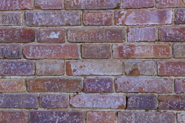 Farklı yazıtlı tuğla duvar — Stok fotoğraf