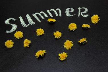 Sarı dandelions 2016 yazında