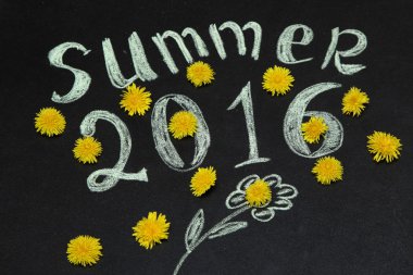 Sarı dandelions 2016 yazında