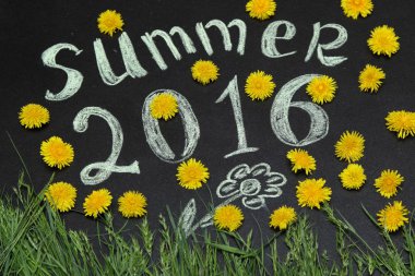 Sarı dandelions 2016 yazında