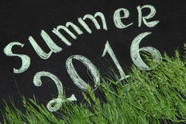 2016 yaz yeşil çimen