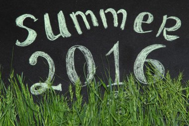2016 yaz yeşil çimen