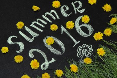 Sarı dandelions 2016 yazında