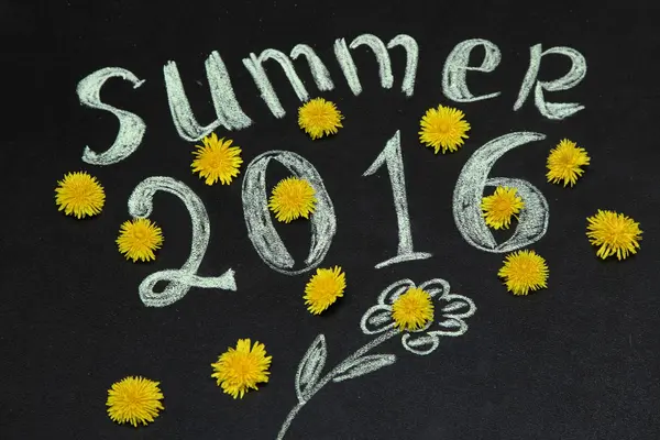 Sarı dandelions 2016 yazında