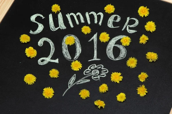 Sarı dandelions 2016 yazında