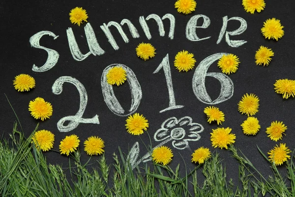 Sarı dandelions 2016 yazında